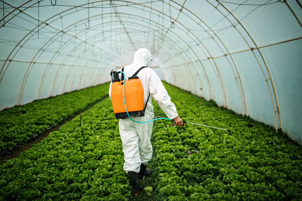 Best Pest Control Near Me in Brownsville, TN