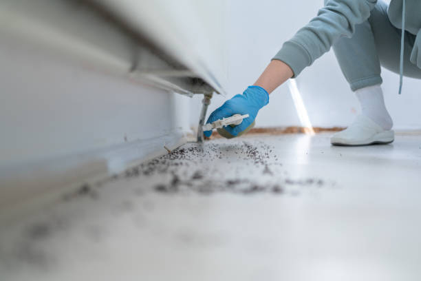 Best Commercial Pest Control Services  in Brownsville, TN